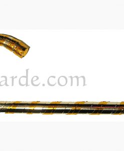 Alternative view of Saeede Cane