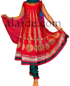 Alternative view of Punjabi Bollywood Suit